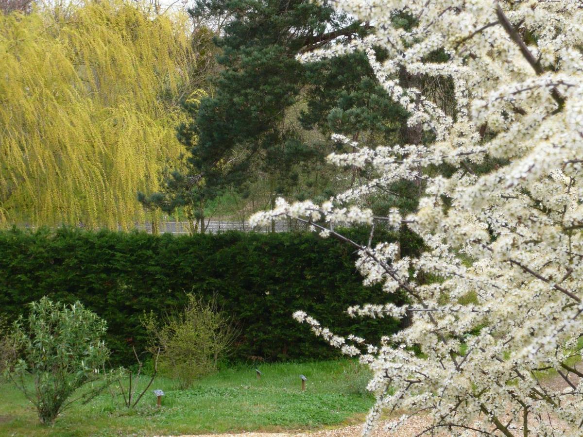 Gite Les Jardins De Terrefort Saumur Ngoại thất bức ảnh